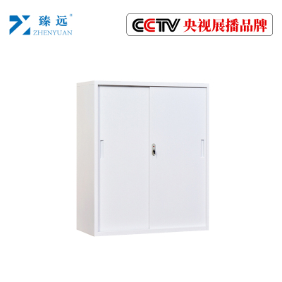 臻远 办公柜子储物柜资料柜带锁档案柜加厚铁皮柜 1090铁门移门