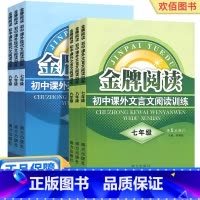 2本]文言文+现代文 九年级/初中三年级 [正版]2025新版金牌阅读初中课外现代文文言文阅读训练七八九年级上册下册初中