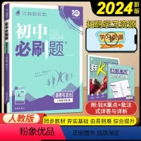 道德与法治 八年级下 [正版]2024新人教版初中八年级下册道德与法治同步练习册理想数真题培优专项训练初二8下教辅复习资