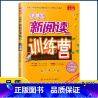 2年级 小学通用 [正版]2022版小学生新阅读训练营 一二三四五六年级小升初 第十次修订语文阅读理解专项训练升学总复习