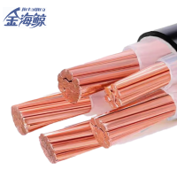 金海鲸 低烟无卤铠装电力电缆WDZYJY233×16 米