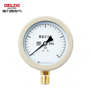 德力西(DELIXI) 膜合压力表 YE-100 40KPA(单位:个)