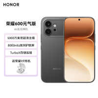 荣耀600 元气版 12GB 256GB