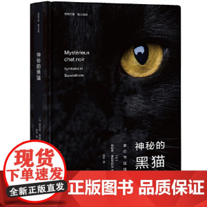 神秘的黑猫