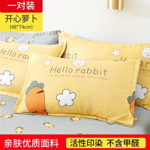 一对装纯色枕套成人枕头套单人卡通枕芯套 48x74cm春夏秋冬季