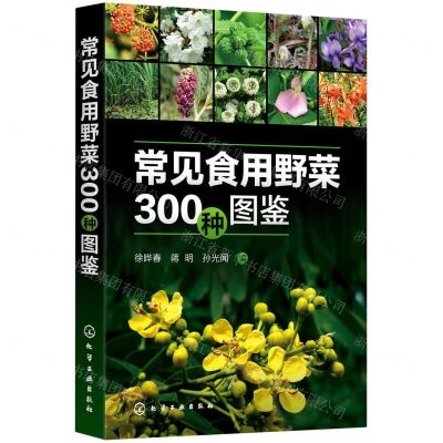 [N]常见食用野菜300种图鉴-9787122387745