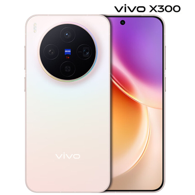 vivo X300 16GB+1TB 幸运彩 6040mAh电池 天玑9500 蔡司2亿主摄 持久流畅 拍照 AI 5G手机