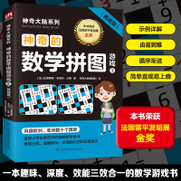 正版新书]神奇的数学拼图游戏 3(挑战级)(法)拉美西斯·布恩科·沙