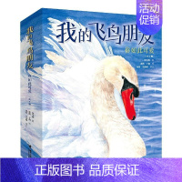 我的飞鸟朋友·你如此可爱(共4册) [正版]签名版赠手绘本我的飞鸟朋友你如此可爱全4册保冬妮类3-8岁儿童绘本图画故事亲