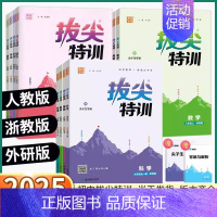 语文-人教版 九年级上 [正版]2025版拔尖特训初中七八九年级上册下册数学科学浙江语文英语物理化学人教版浙教版外研版初
