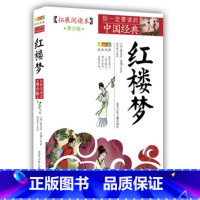 红楼梦 [正版]全套4册四大名著小学生版青少年无障碍阅读三国演义原著水浒传红楼梦西游记拓展阅读本青少年版白话文完整版五年