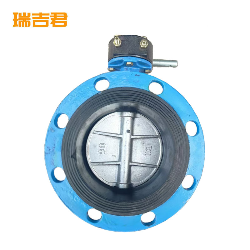 瑞吉君 法兰蝶阀 DN100 个