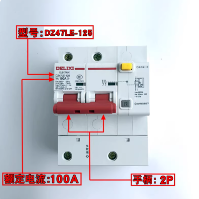德力西DZ47LE-125 2P 100A漏电保护器 单位:个