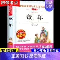 童年 [正版]小英雄雨来管桦原著完整版爱阅读课程化丛书六年级上册必读课外书红色经典革命小学生一二三四五六年级课外阅读经典