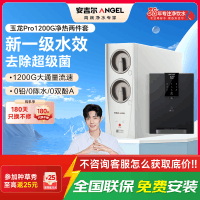 安吉尔家用净水器直饮净水机玉龙Pro1200G+Y3611管线机
