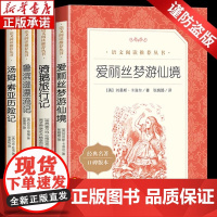 鲁滨孙漂流记六年级下册快乐读书吧原著正版人民文学出版社完整必汤姆索亚历险记爱丽丝梦游仙境骑鹅旅行记课外阅读书籍人教版