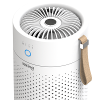 leking 车载空气净化器 除甲醛车内除异味新车用除味汽车除烟味臭氧去甲醛 P40