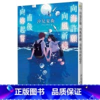 [正版]在途轻小说 向海许愿 向风祈祷 而后向妳起誓 台湾东贩 汐见夏卫