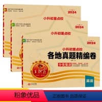 3本★真题卷[语数英] 小学升初中 [正版]2024新版小升初真题卷语文数学英语小学六年级上下册系统总复习真题卷分类精编