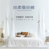 慕思 家用居家酒店冬暖夏凉100%柞蚕丝舒适亲肤(中长丝绵)丝柔被子 200*230cm/400g DSZ1-038