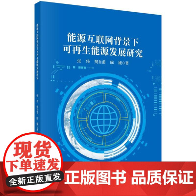 [按需印刷] 能源互联网背景下可再生能源发展研究