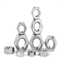 雷宾 不锈钢螺母 M5 包(100个/包)