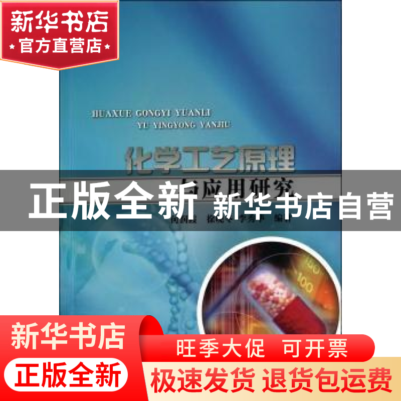 正版 化学工艺原理与应用研究 何润霞,徐晓冬,李秀华编著 中国