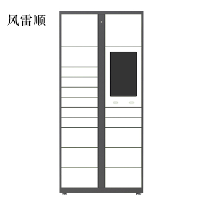 风雷顺智能快递柜小区快递自提柜派件柜室外寄存柜信报箱储物柜主柜17格