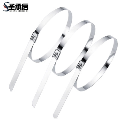 圣承启 理线带 7.9*300mm根