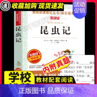 [29元3件]昆虫记 [正版]下次开船港严文井原著小学生必3456课外阅读书籍三四五六年级青少年人民儿童文学教育读物天地