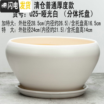 三维工匠28cm大码花盆陶瓷特大号绿萝花盆简约分体托盘陶瓷艺术兰花盆个性 天蓝色025-哑光白 外直径[约23公花盆容器