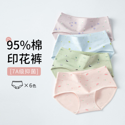 盒装4条纯棉女士内裤7A女士三角裤印花中腰内裤女