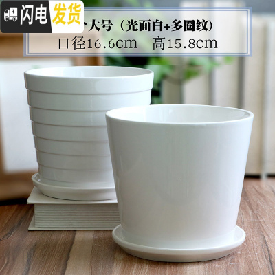 三维工匠白色陶瓷花盆带托盘大号个性创意多肉室内家用吊兰绿萝盆 两个大号(光面白+多圈纹) 大花盆容器
