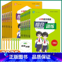 语文阅读组合训练-通用版 一年级上 [正版]2025版通城学典小学英语阅读组合训练语文阅读与写作一年级二年级三年级上四年