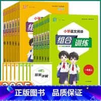 语文阅读组合训练-通用版 一年级上 [正版]2025版通城学典小学英语阅读组合训练语文阅读与写作一年级二年级三年级上四年