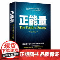 正版 正能量 湖南文艺出版社 (英)理查德.怀斯曼 坚持正能量 人生不畏惧 传递正能量的心灵成长之书