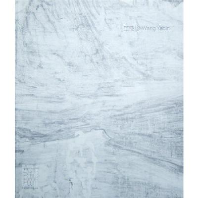 正版新书]大足当代艺术丛书:王亚彬许晟 等 编,王亚彬 绘97875