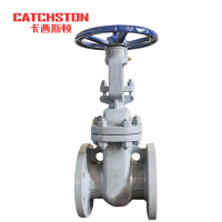 卡西斯顿 碳钢闸阀 DN100-150LB 个