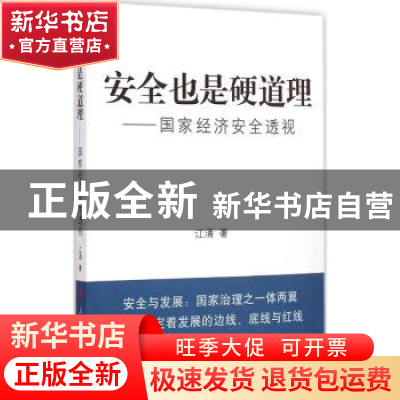正版 安全也是硬道理:国家经济安全透视 江涌 著 人民出版社 978