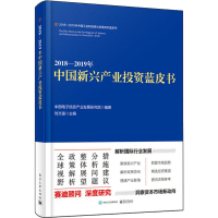 [M]2018-2019年中国新兴产业投资蓝皮书-9787121376979