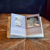 冰雪王国:美国军舰珍妮特号的极地远征(甲骨文丛书)