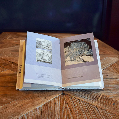 冰雪王国:美国军舰珍妮特号的极地远征(甲骨文丛书)