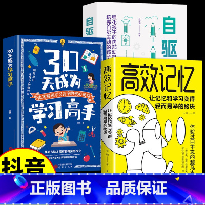 [3册]学习高手+自驱成长+高效记忆 [正版]抖音同款30天成为学习高手书籍 给孩子的第一本学习方法书自驱型成长学霸高效