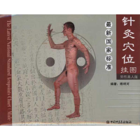 音像标准针灸位挂(男真人版)大睢明河
