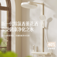 惠达(HUIDA)-DW18 淋浴花洒套装智能数显增压全套浴室香氛过滤花洒除氯净水枪灰