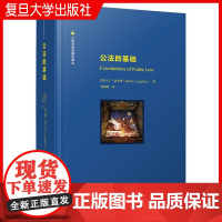 公法的基础 [英]马丁·洛克林 公共与政治理论丛书 公法研究相关书籍 复旦大学出版社