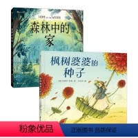 枫树婆婆的种子+森林中的家 [正版]全2册 治愈精装童话故事绘本套装 枫树婆婆的种子+森林中的家