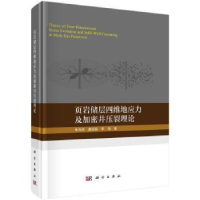 音像页岩储层四维地应力及加密井压裂理论朱海燕,唐煊赫,李扬著