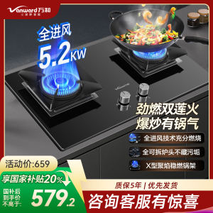 万和(Vanward) 一级能效 天然气双灶 双眼燃气灶 单灶具 5.2KW火力钢化玻璃 可调底座C5L90S