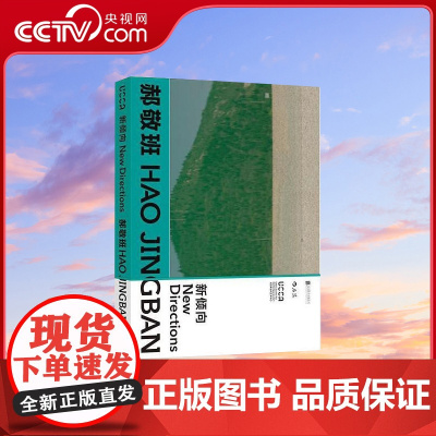 新倾向郝敬班尤伦斯中心 当代美术作品集画册书籍 艺术家访谈问答录hl